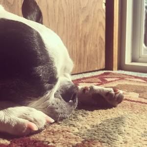 Meet your Posher, Angela